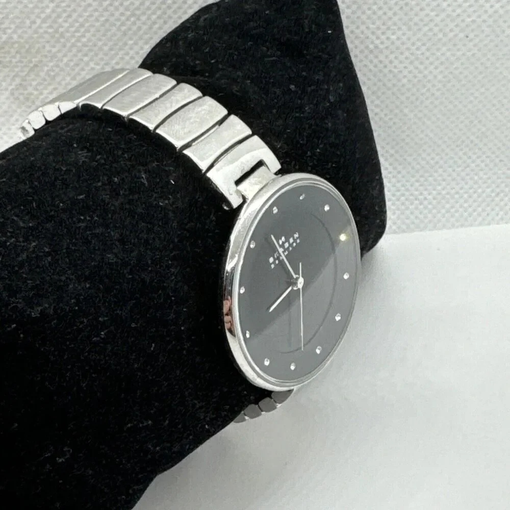 Skagen Gitte SKW2225 Women Silver Stainless Steel Analog Dial Wrist Watch JNA564
